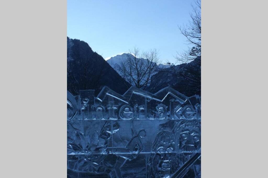 Zentral Gelegene Wohnung Mit Grossem Garten Interlaken Exterior foto