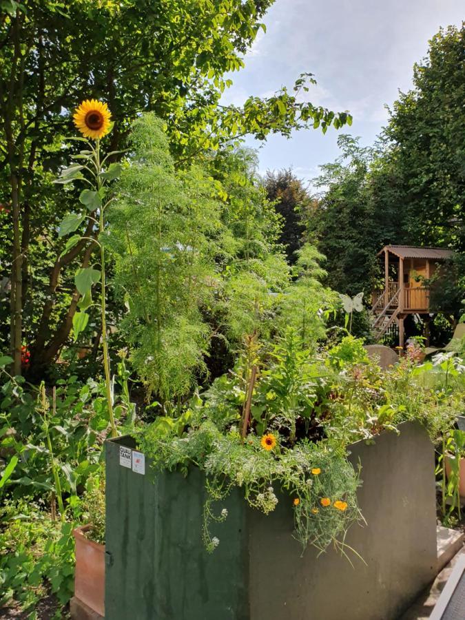 Zentral Gelegene Wohnung Mit Grossem Garten Interlaken Exterior foto